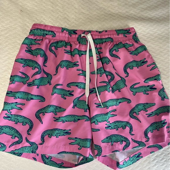 Chubbies The Around Towns Swim Shorts main image 1